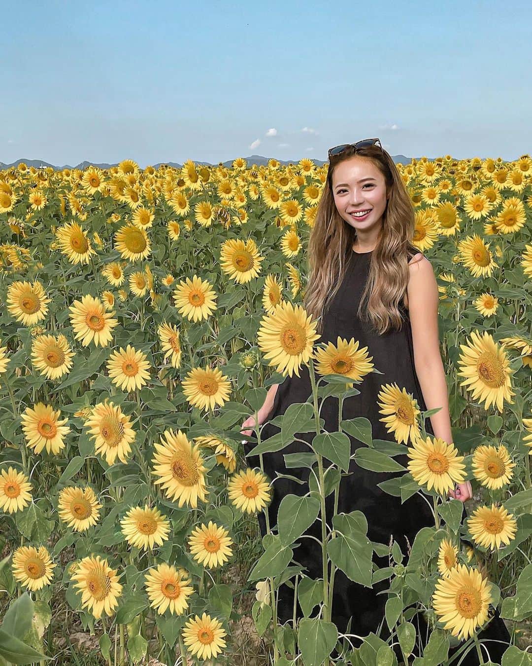 のインスタグラム：「ひまわりの丘公園🌻 こんな大迫力のひまわり畑、はじめて🥺💛  あえて黒い服着ていくという...😎 ハチにモテモテだったわ🐝💕笑  7/27〜8/1まで、 ひまわりを自由に切って持ち帰られるよ🤲  ハサミと新聞紙を持っていってね😉💕  2021.07.26. 08:00頃 撮影  ••📍 #ひまわりの丘公園  ••👗 @welinoa  ••🏷 #maomao_japan  #ひまわり畑 #ひまわり #小野市 #兵庫旅行 #兵庫観光 #小野ひまわりの丘公園 #🌻」