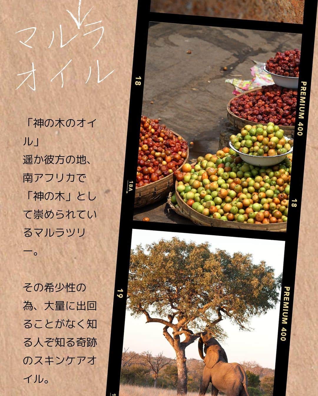 れなさんのインスタグラム写真 - (れなInstagram)「京都のお庭みたいなパフェ🍧  ２枚目🤳 とっても贅沢成分で作った全身美容液🌿 CBDマルラトリートメントオイル @itoma.jp   バクチオールがたっぷり入っているので顔まわりはもちろん、デスクワーク時の肩や首のマッサージにも使ってます😌  残りは手の甲へ 半年後のお楽しみ😘  @lena_mania_ プロフリンクから見てね👀」7月29日 20時54分 - lena_mania_