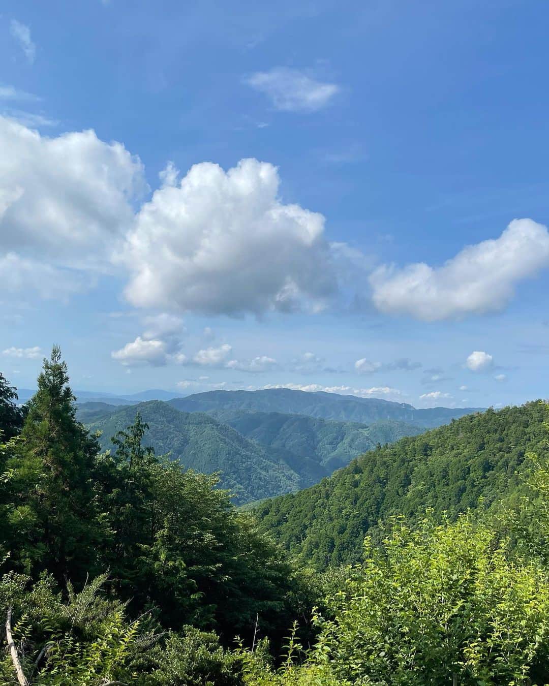前田彩名さんのインスタグラム写真 - (前田彩名Instagram)「朝7時に出発し🚙、 清滝から愛宕山へ！  京都の方にはお馴染みですが、 山頂に愛宕神社があります😊。  通常なら7/31〜8/1早朝まで行われ、 夜間登山になる千日詣ですが、 コロナの影響で昨年と今年は1週間、 日中限定で行われています。  夜だからこそ、という特別感、 醍醐味があるのは確かだけど、 (若い頃に職場の仲間と登りました😊)  見通しが悪い道もあるので、 個人的には昼間が安心かな？と思います。  登り始めは本当に暑かったけど💦 やっぱり山頂に近づくにつれ、 涼しくなって、汗が冷えました💦笑。  京都の街並みはもちろん、 京都タワー、大文字山もばっちり！ (ぼんやりして写真には写ってない🤔)  924ｍ、あなどれません😊  行きは表参道を歩き、 帰りは月輪寺を経由して下山。  4時間半ぐらい、しっかり歩きました😅 歩数は20,000歩超え！ しんどかった〜、 まさに修行って感じやった。笑  火の用心のお札、 授与してもらってきました✌️ 京都の飲食店、 おうちには大体 貼ってありますよね🤔  千日分の御利益、ありがたいです😊  いっっぱい汗かいて、 リフレッシュできました〜🙌  付き合ってくれた姉に感謝！  駐車場は川で遊ぶ組もいて混雑するし、 午後からの入山はお断りとのことなので、 早めに出発するのが おすすめです⛰♪」7月29日 21時30分 - ayana.maeda