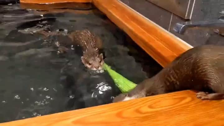 ちぃたん☆のインスタグラム