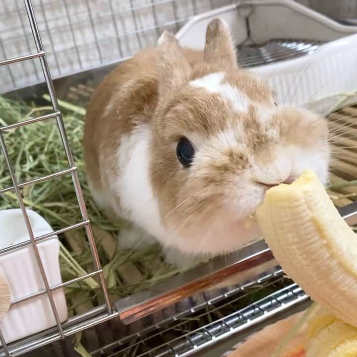 BUNNY?TUNA? のインスタグラム