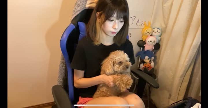 のインスタグラム：「YouTubeちゃんねるはじめた！本当は先月くらいの予定だったのけどだいぶ延びた😂w ・ ・ チャンネル登録よろしくね✨ https://youtube.com/channel/UCmrKgjpQvD5wY8_wP2NM_rg ・ ・ 短めの動画が多くなると思います😇 ゲームの切り抜き等こちらに上げていきますね。 #cosplay #コスプレ #コスプレイヤー #cosplaygirls #selfie #自撮り女子 #japanesegirl #gravure  #japanesemodel #japaneseidol #portrait #gallery #japan_of_insta  #picture #youtube #apexlegends #apex #valorant」