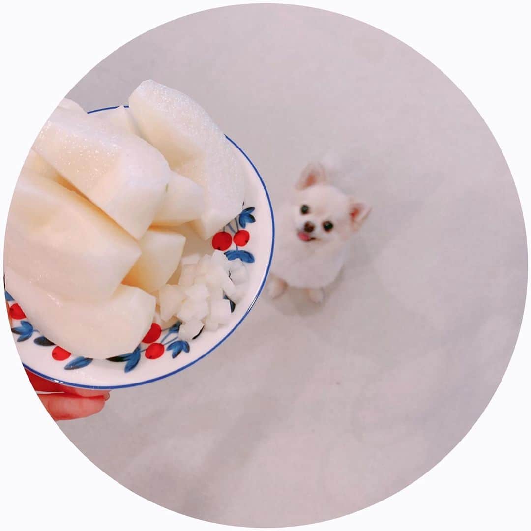 井口裕香のインスタグラム