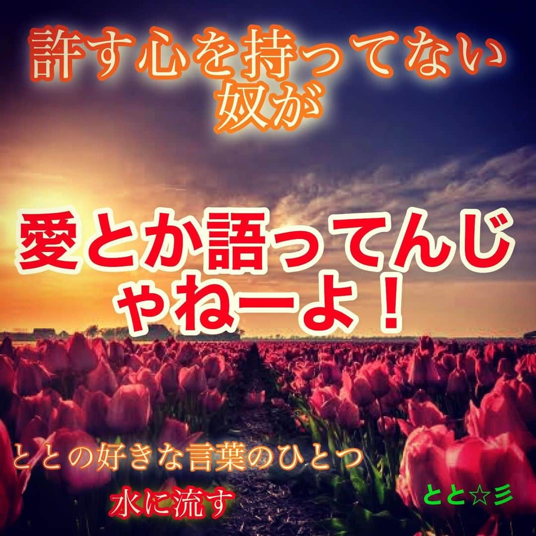 恋愛ととさんさんのインスタグラム写真 - (恋愛ととさんInstagram)「恋愛ポエム画像 です  ポエム画像  Love Poemer Toto (Toto F) (v´ ▽ `) v  If you google "Love Poemer" on Google, you will find a lot of SNS, so please search if you like ✩︎⡱  共感したらコメントしてね🤗 ・ ・ ・ ・ #ポエム #jk #jkブランド #アラフォー #恋 #恋愛 #愛 #片思い #言葉 #想い #詩 #言葉の力 #Poem #恋愛ポエム #ポエム画 #ポエム好きな人と繋がりたい #恋愛ユーチューバー #アラサー #失恋 #恋垢 #恋垢さんと繋がりたい #名言 #失恋ポエム #スキンケア」7月30日 15時17分 - kyoto.official_