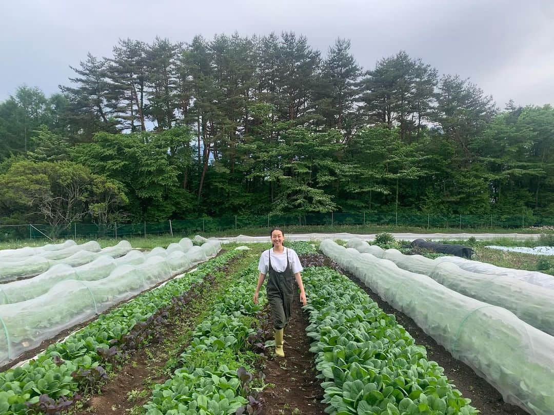 浅田真央さんのインスタグラム写真 - (浅田真央Instagram)「🌈」7月30日 16時01分 - maoasada2509