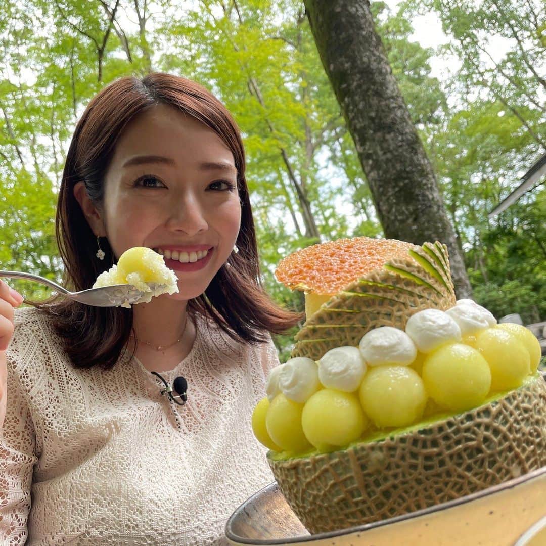 朝日放送「おはよう朝日土曜日です」さんのインスタグラム写真 - (朝日放送「おはよう朝日土曜日です」Instagram)「京都の涼し〜いスポット🎐 #おはよう朝日土曜日です#おは土#ABCテレビ #小椋寛子#女と男市川 #土日どーする #京都#涼スポット#嵐山#竹林の小径#祇王寺#苔#アマン京都#メロンかき氷🍈#京都水族館#クラゲワンダー #7月31日放送」7月30日 18時03分 - ohado6ch