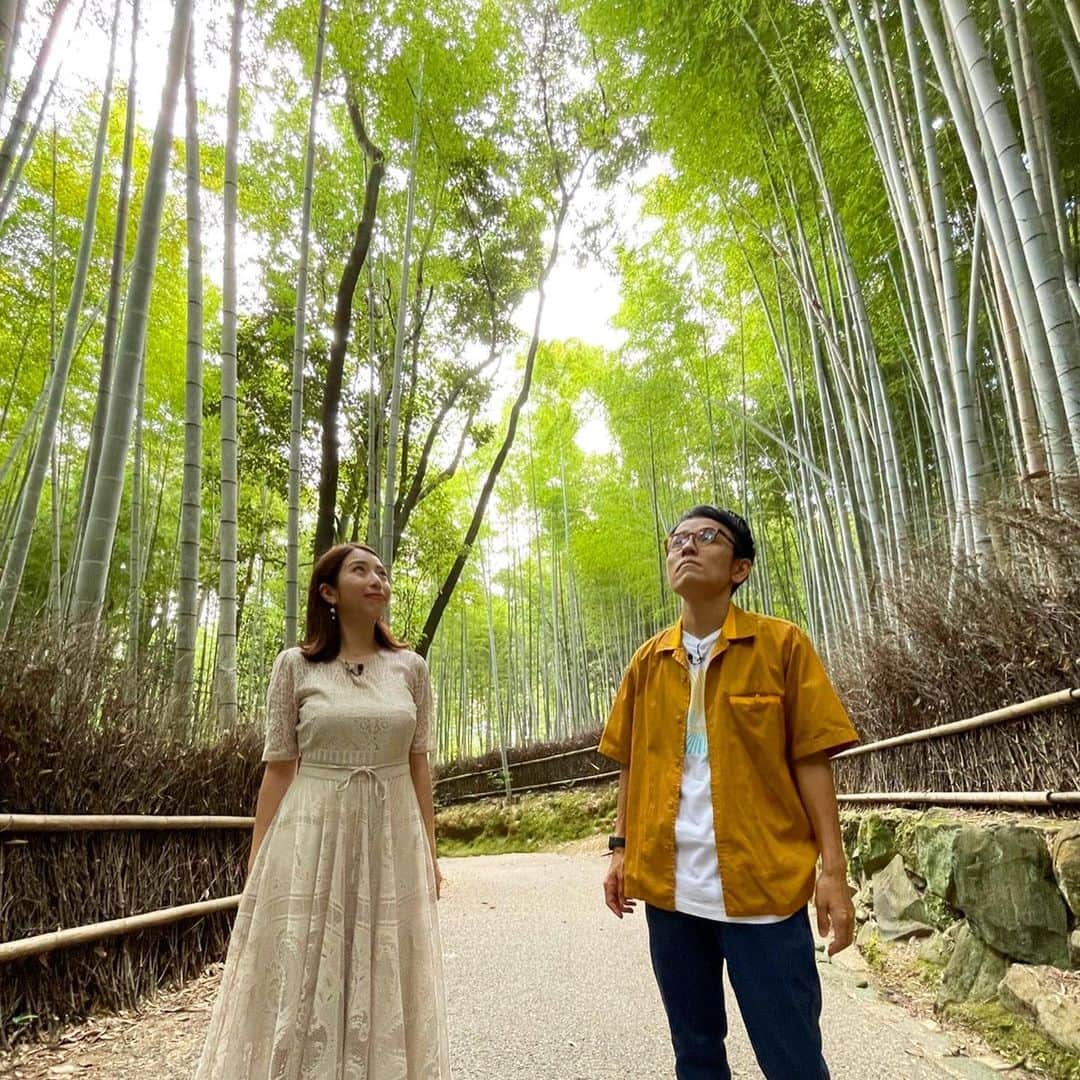 朝日放送「おはよう朝日土曜日です」さんのインスタグラム写真 - (朝日放送「おはよう朝日土曜日です」Instagram)「京都の涼し〜いスポット🎐 #おはよう朝日土曜日です#おは土#ABCテレビ #小椋寛子#女と男市川 #土日どーする #京都#涼スポット#嵐山#竹林の小径#祇王寺#苔#アマン京都#メロンかき氷🍈#京都水族館#クラゲワンダー #7月31日放送」7月30日 18時03分 - ohado6ch