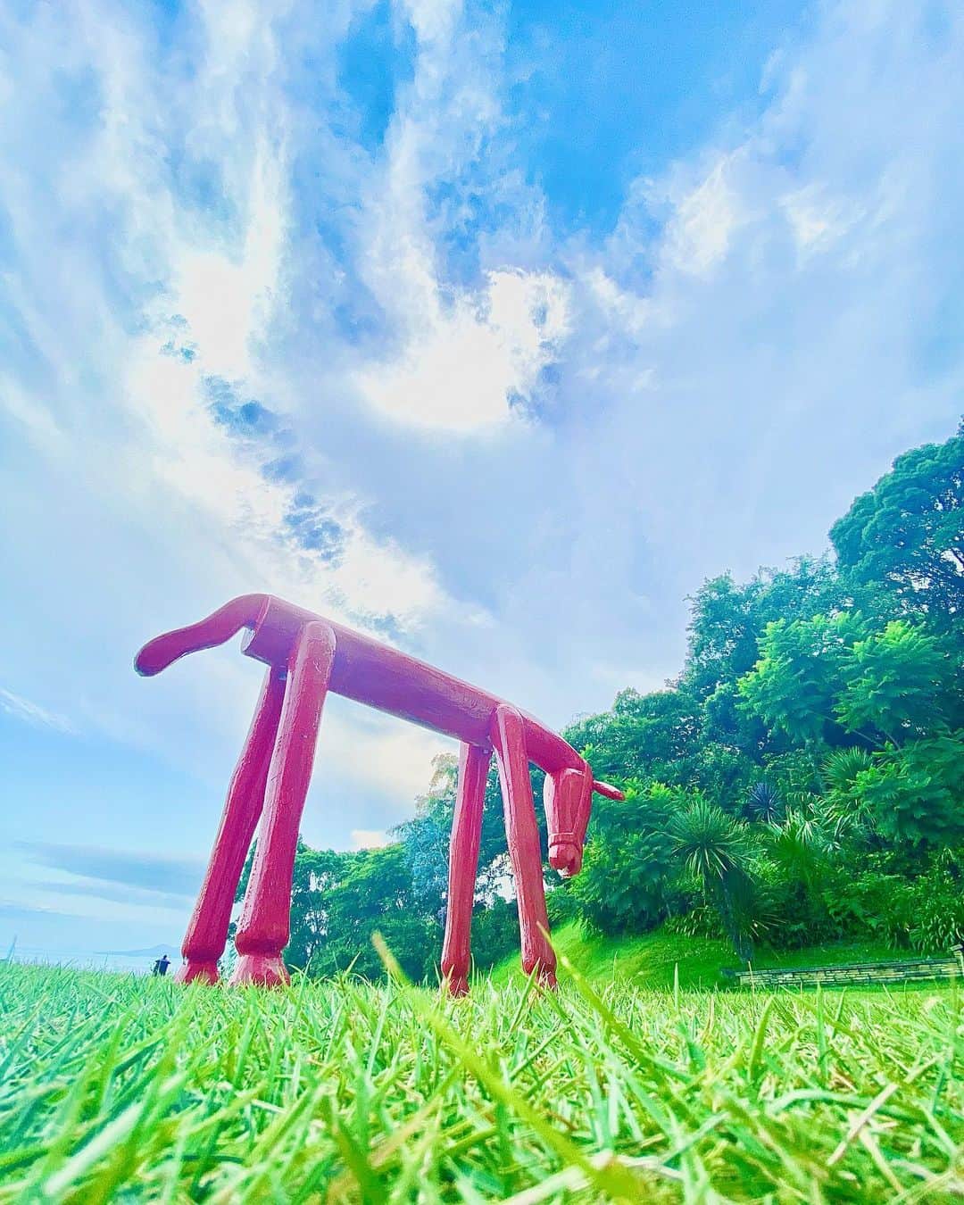 白石麻衣さんのインスタグラム写真 - (白石麻衣Instagram)「🌿🌳」7月30日 18時14分 - m.shiraishi.official