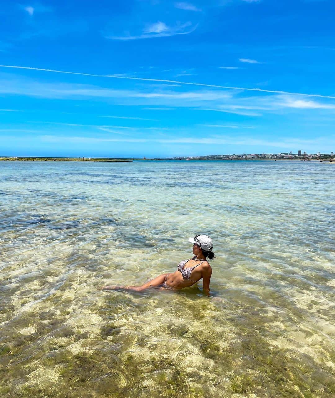 のインスタグラム：「. 💙🐬🐠💦🦋🐳」