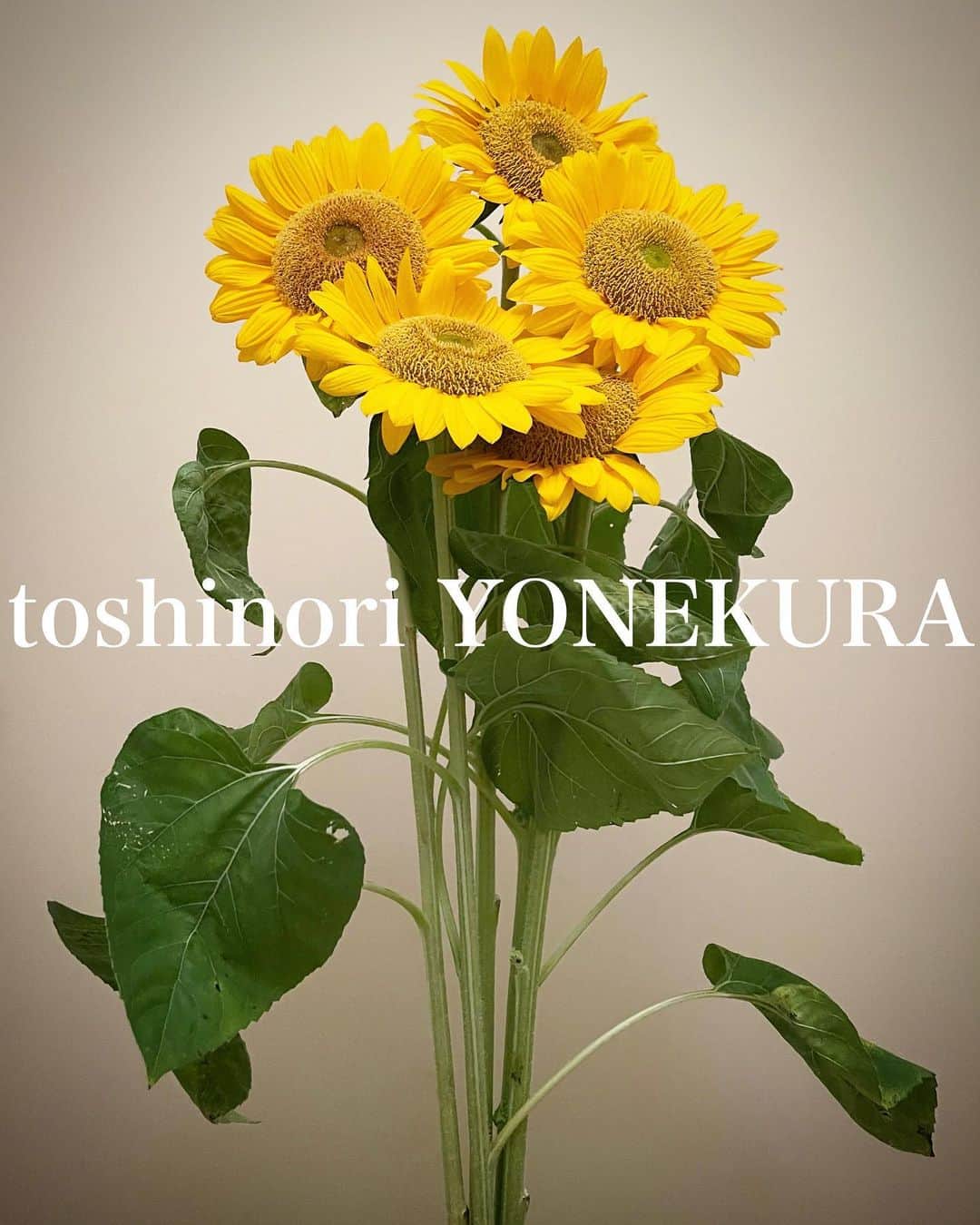 米倉利紀さんのインスタグラム写真 - (米倉利紀Instagram)「flowers of this week #男花 #花のある生活 #u.gotoflorist」7月30日 20時09分 - toshi_yonekura