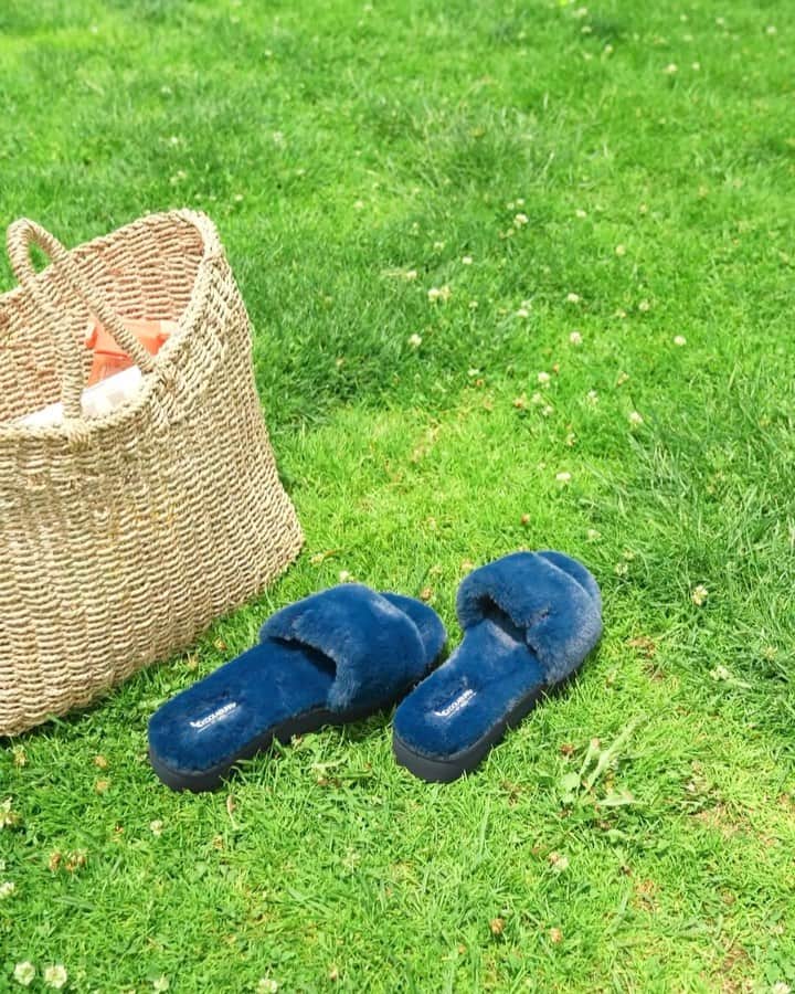 のインスタグラム：「Today's plans include play'n with FUZZ-AH 💙☀️🌼」