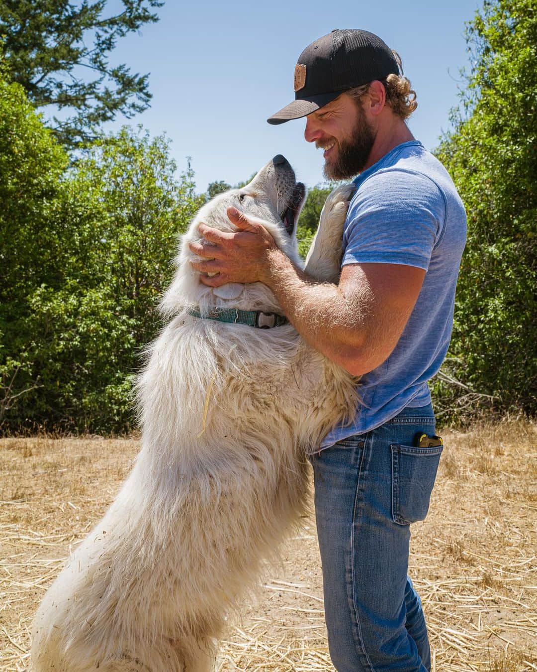 マックス・シエリオットのインスタグラム：「Big “Bear” has been a champ since he moved on to the ranch! He’s great with the boys and keeps an eye on everything! So happy he joined the family ❤️ . Thanks @jakwonderly for capturing the moments! 🙏🙌 📸 #greatpyrenees #photography #fridayvibes #fridaymood @senseswines #senseswines #dogsofinsta #dogs #workingdog #vineyard #sonomacoast #jakwonderly #westsonomacoast」