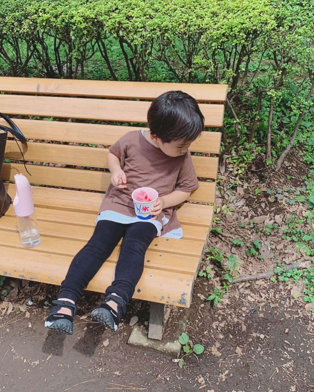 安田美沙子さんのインスタグラム写真 - (安田美沙子Instagram)「おはよう！ 夏休み。子供は。 親はあんまり関係ない。笑 今しか一緒に沢山過ごせないのかなと思うと、一生懸命な、いい顔して貰いたくなる。  兄だけの日もあるし、弟だけの日もあるし全員の日もある。それはそれで何が出来るかなって考えて✨  この日は涼しかったから、ほんの2時間公園へ自転車を走らせました🚴‍♀️  はんなをどーうしても連れて行きたかった😭いつも留守番させてしまうから、兄だけならなんとか🐶  はんなは、はんなバッグに入れて☺️息子にも自転車の練習(なぜかピンクを毎回選ぶ)をした後に、セミの抜け殻探しゲームをしながら、お散歩✨  中々トリミングに行けてないので、帰ったらはんなをお風呂で洗いました⭐️もしゃもしゃだけどいい匂い❤️  息子も泡を流してくれたりして、なんだかはんなに対する愛情が変わったようでした✨  それにしても、せみの抜け殻100個くらいあったな。笑  #夏休み　#子供だけ　#毎日何が楽しめるか　#刺激を求めて #アクティブ　#かき氷　#楽しかったね　#はんな　#蟬の抜け殻　#息子叫んでます」7月31日 6時03分 - yasuda_misako