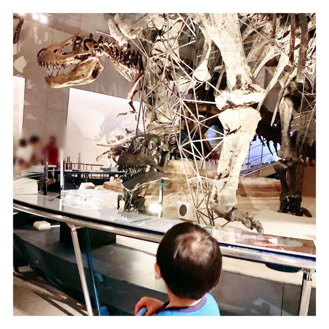 押切もえさんのインスタグラム写真 - (押切もえInstagram)「2人目出産前に息子とデート🦖  図鑑で見るたびに行きたいと言っていた科学博物館へ。  迫力ある展示の前で目を輝かせながら、図鑑やDVDで覚えた恐竜の名前を伝えてくれました。  観賞後は練習を終えたパパも合流して。 息子大はしゃぎの一日でした。  #museum #dynasaw #恐竜大好き」7月7日 9時10分 - moe_oshikiri