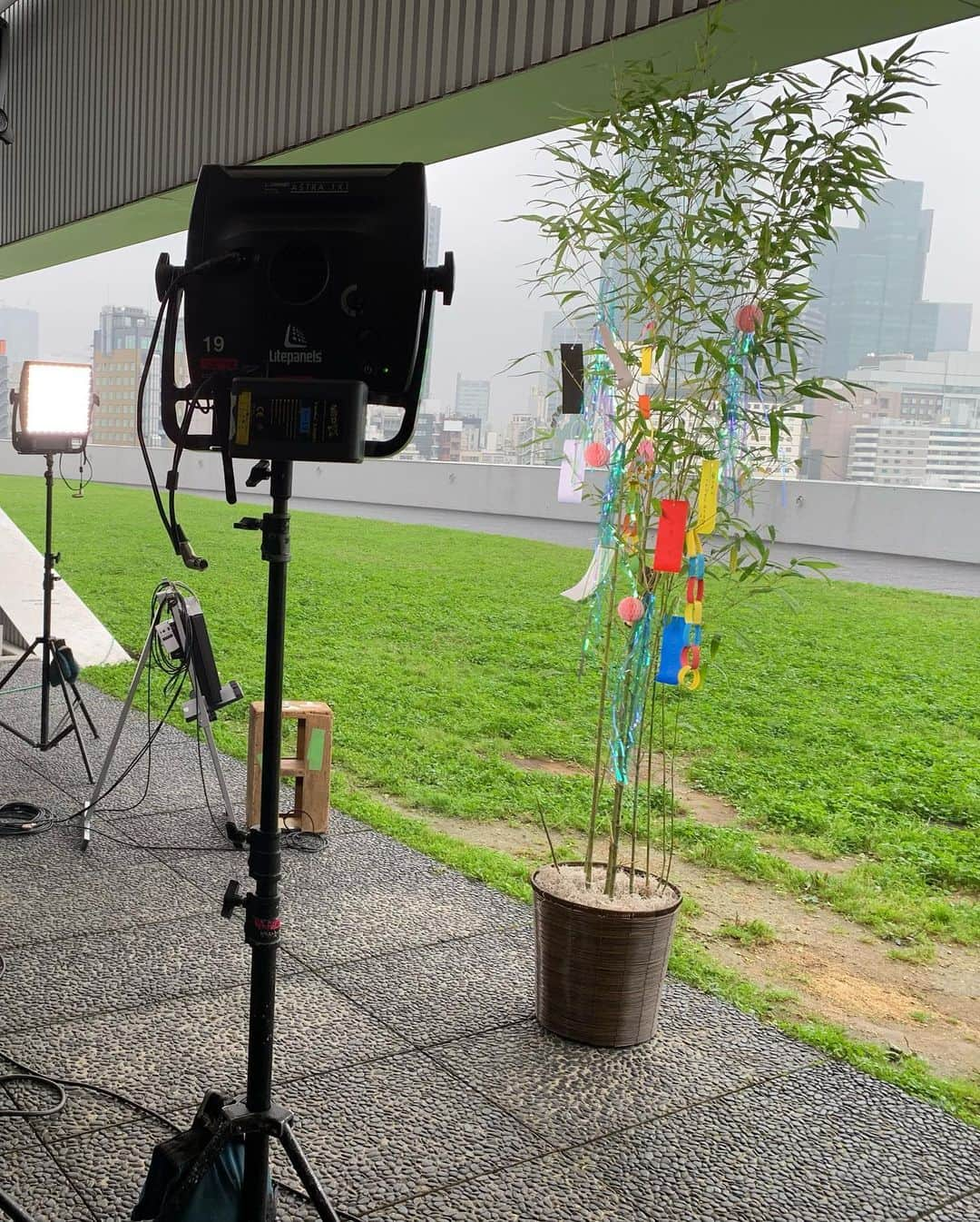 太田景子さんのインスタグラム写真 - (太田景子Instagram)「今日は七夕🎋 二十四節気の「小暑」です。  中継現場には、突然の線状降水帯により出番を失った笹飾りが寂しく立っていたのでした…  放送内容を大きく替えて現況の最新情報を時間の許す限りお伝えしました。どうかこれ以上、人的災害が広がりませんように 😢😢😢😢」7月7日 11時38分 - keiko_ota1121