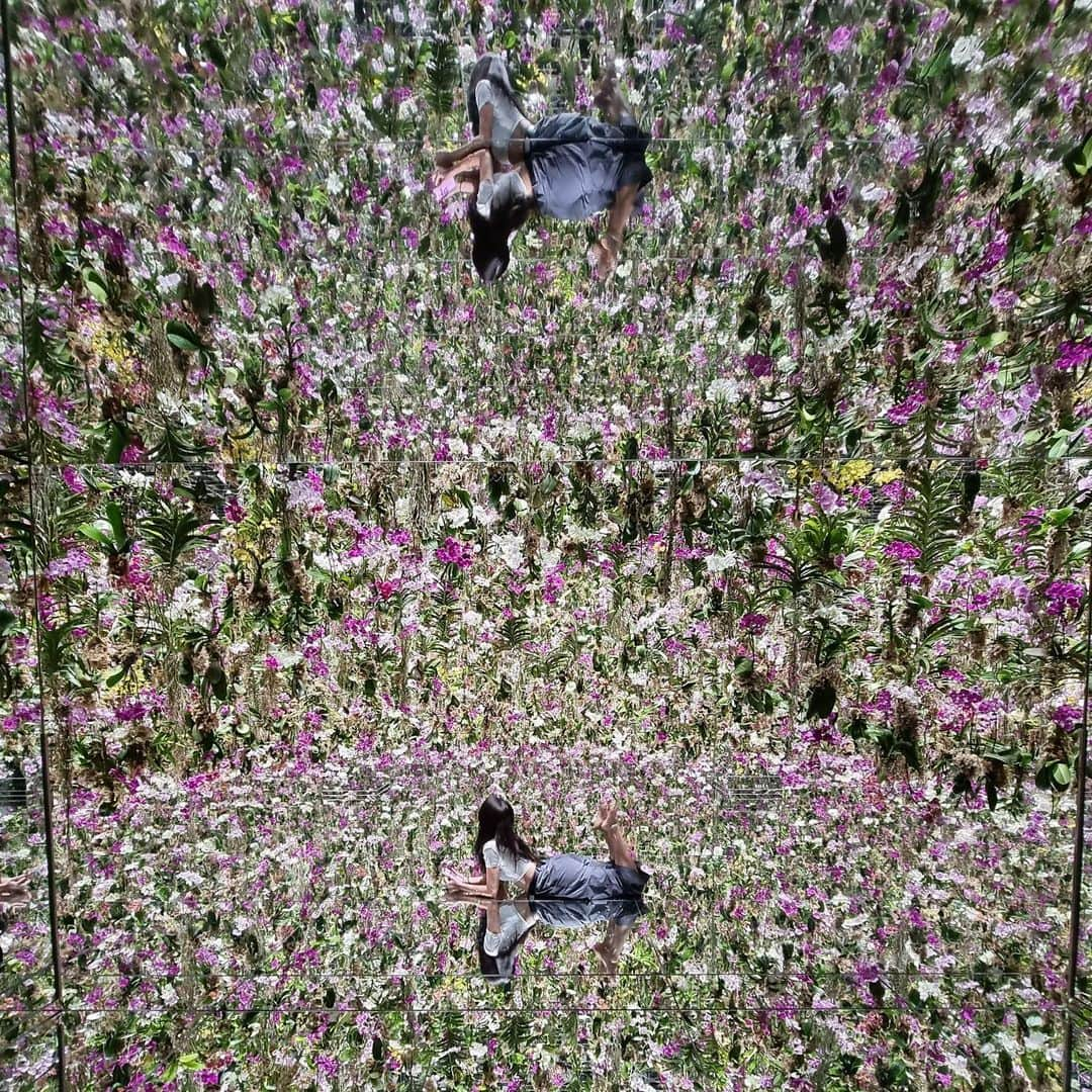 石田ニコルさんのインスタグラム写真 - (石田ニコルInstagram)「💐💐  #teamlab」7月7日 12時13分 - nicole_ishida