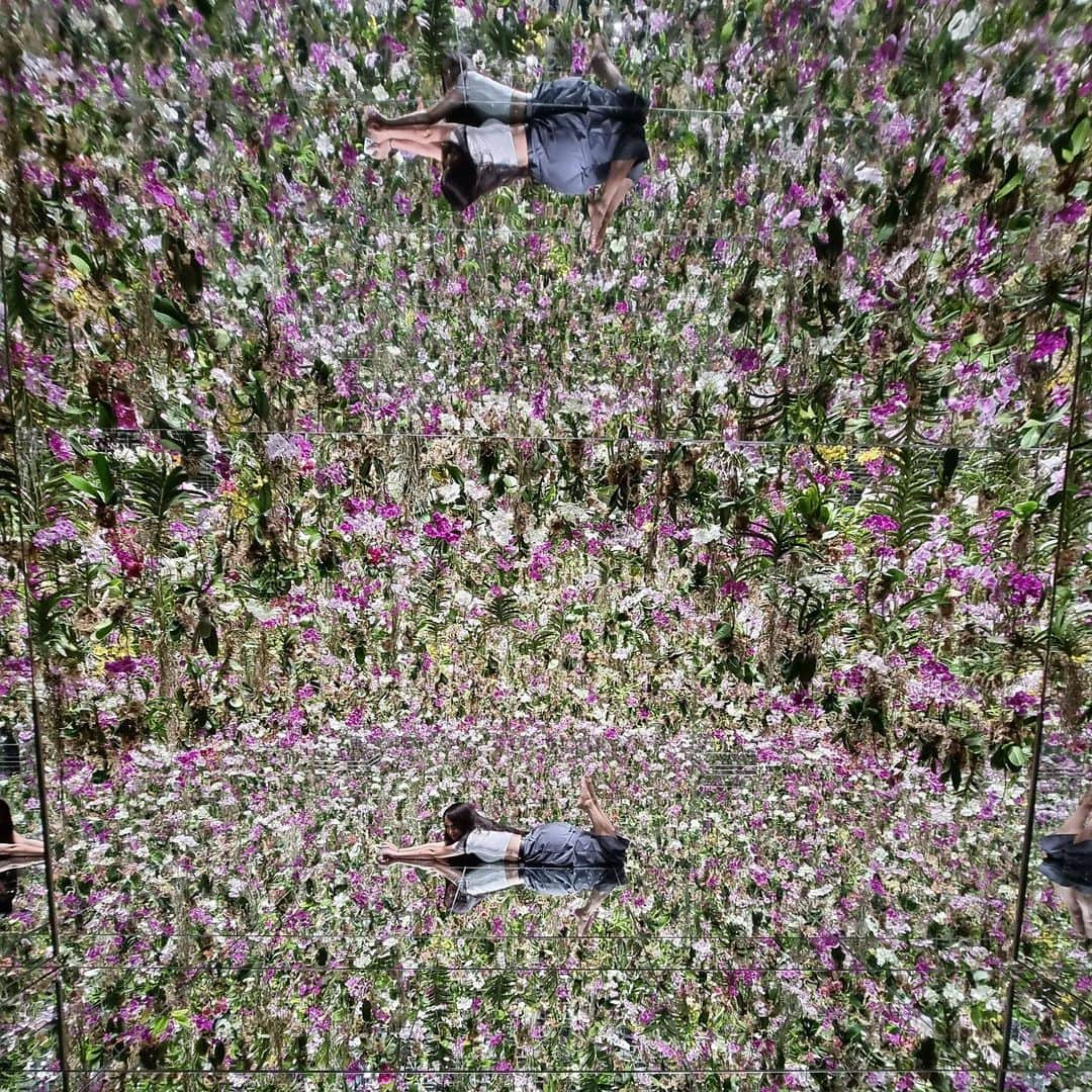 石田ニコルさんのインスタグラム写真 - (石田ニコルInstagram)「💐💐  #teamlab」7月7日 12時13分 - nicole_ishida