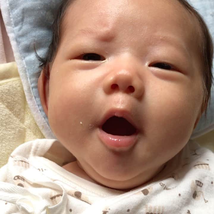 のインスタグラム：「……… なんだろ😂 この声は…👶笑💓  赤ちゃんって、ほんとに面白い＾＾  時々、ゴマちゃん🦭みたいな　キュー💓って声で泣いたり、獣のような…😑ガルガルガル〜って言う声を出したりもしてきますww  #子育てママ  #子育て日記　#👶 #赤ちゃんのいる暮らし  #新米ママ #生後1ヵ月ちょい  #男の子ママ  #ぬか漬けママ　#ぬか漬け母ちゃん  #朝はごきげん  #baby #babyboy」