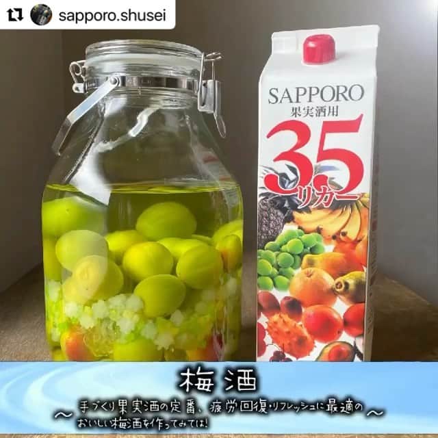 のインスタグラム：「☆ 毎年ではありますが 鬱陶しい日が続きますね☔️ そんな中でも 梅仕事など果実酒を仕込むのはこの時期ならではの楽しみ✨ きれいな瓶を眺めているだけでも 心が明るくなりますよね😊 ． ． 今回は札幌酒精さん @sapporo.shusei  から頂いた ホワイトリカーと レシピを使って😉 ただいま札幌酒精さんでは 梅に関連した キャンペーン実施中💕 梅仕事の様子や 梅酒 のお写真をはじめ 食卓やお弁当に 梅がある様子などを投稿すると 札幌酒精さんのおいしいお酒が 当たるそうです✨ くわしくは 札幌酒精さんでどうぞ😊 ． ． ・・・・・・・・・・・・・・・ #お酒 #晩酌 #宅飲み #おうち時間 #おうちご飯 #梅 #梅酒好きな人と繋がりたい #お酒好きな人と繋がりたい #酒 #札幌酒精 #札幌グルメ #プレゼント企画 #プレゼント #プレゼントキャンペーン #プレゼント企画実施中 #梅酒作り #梅酒好き #梅酒づくり #梅酒ハイボール #お酒好き女子 #札幌晩酌 #晩酌女子 #晩酌タイム #晩酌好きな人と繋がりたい #晩酌部 #晩酌主婦 #おうちごはん#梅仕事」