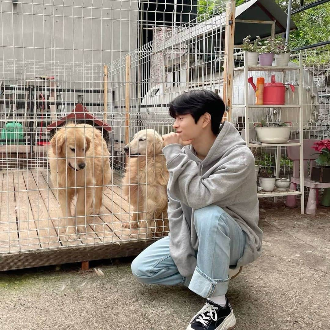 Stray Kidsさんのインスタグラム写真 - (Stray KidsInstagram)「송캠프에서 만난 멍뭉이들🐶🐾🐾 #승스타그램」7月8日 0時19分 - realstraykids