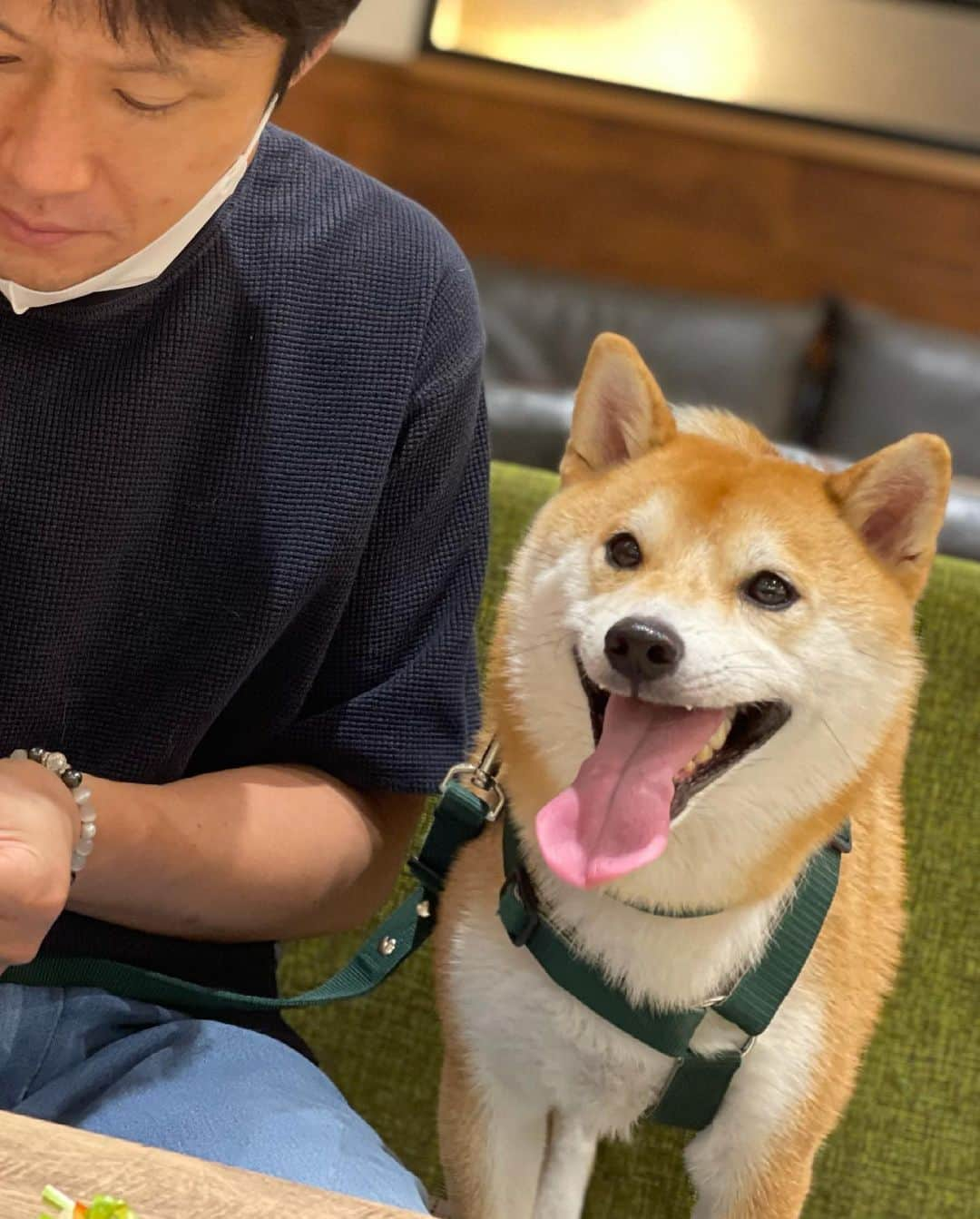 大山加奈さんのインスタグラム写真 - (大山加奈Instagram)「. . だいずくんの新しいカッパを買いに みんなでお台場へ‼︎ . ひさしぶりのおでかけで かなりテンション高めなだいずくん🐕 終始ニコニコしてました☺️ . ふたごとだいず連れでは ランチは厳しいかなと思っていたけど ふたごがずーっと寝ていてくれたおかげで ランチもできました‼︎ . だいずくんがうれしそうで よかった🥺‼︎‼︎‼︎‼︎ . . ミルク拒否のふたごを連れてのおでかけは その分荷物は減るけれど 授乳に2人分の時間がかかるので なかなかハードル高めです💦💦 でもミルク飲んでくれたとしても 2人分となるととんでもなく 大荷物になるしそれもハードル高いなぁ💦笑。 . . #だいず #だいず🐕💓 #豆柴 #豆柴部  #柴犬 #しばいぬ  #犬のいる暮らし#🐶 #🐕#いぬすたぐらむ #ワンスタグラム #しばすたぐらむ #mameshiba#shibainu#shibastagram #柴犬好きさんと繋がりたい #柴犬のいる暮らし #柴犬ライフ#わんことお出かけ」7月7日 15時45分 - kanaoyama0619