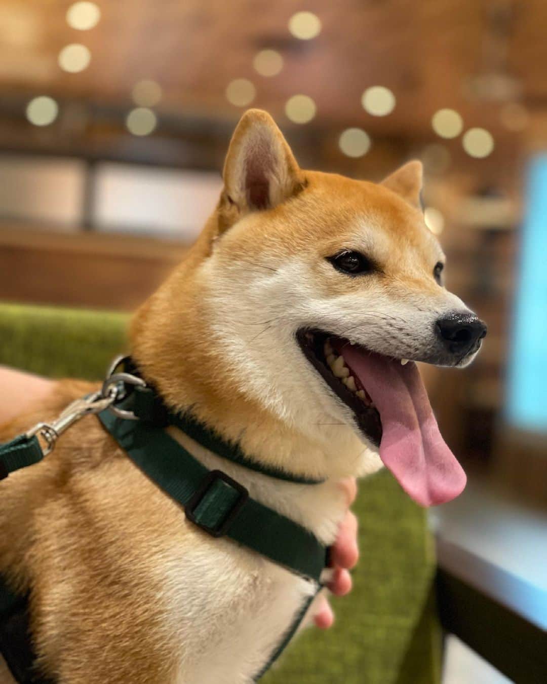 大山加奈のグルメインスタ