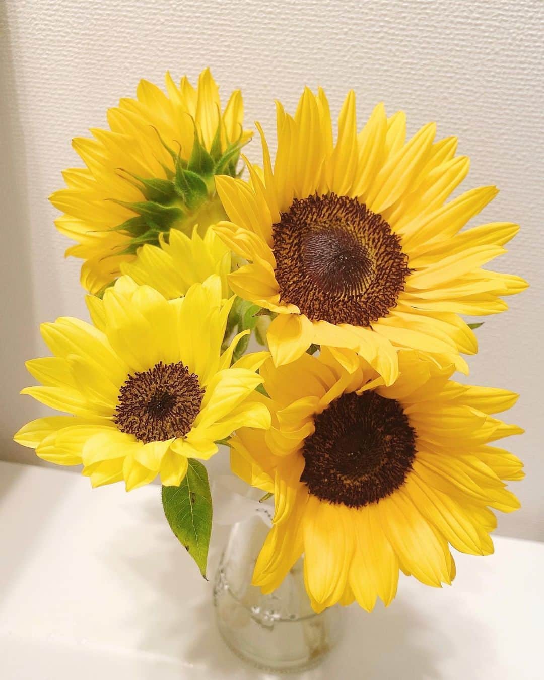 利水翔のインスタグラム：「. ⁡ 向日葵って見てるだけで 元気を貰える気がします☺️🌻💕カワイイ ⁡ ⁡ ⁡ ⁡ ⁡ ⁡ ⁡ ⁡ ⁡ ⁡ ⁡ ⁡ #enjoy #smile #happy #flower #sunflower」