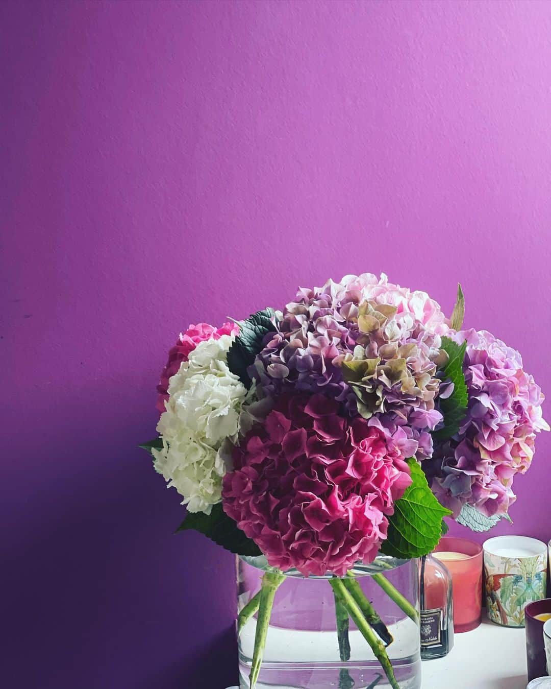 神崎恵さんのインスタグラム写真 - (神崎恵Instagram)「撮影が予定より早く終わったので、お花屋さんで紫陽花を💠💠💠 それにしても、湿度が高くてじとっ。の毎日。　 そりゃあ体も浮腫むわけです。 1時間ほどトレーニングをして巡りを促し、今夜はしっかり湯船につかっていい汗をかこうと思います🛀 今日はいろんな色の紫陽花を合わせてみました。 ブルーも欲しかったなぁ。　 かわいいなぁ。ずっと見てられる🥺 今日も1日お疲れ様でした。」7月7日 19時46分 - megumi_kanzaki