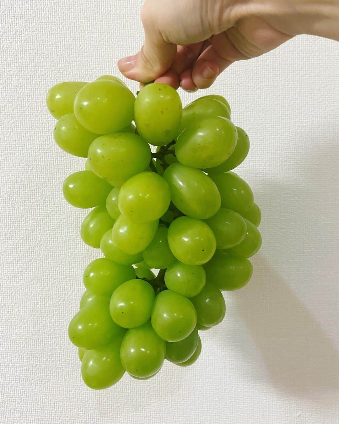 島津咲苗さんのインスタグラム写真 - (島津咲苗Instagram)「🍉まだあるけれど、今日は🍇の気分🤤 と言いつつあさはスイカでした(笑) . . . #ぶどう #フルーツ #大好き #きょうの #アップ #コストコ #行ってみたくなりました #行ったら #フルーツ大量買い しちゃいそう...」7月7日 20時21分 - sanae_shimazu