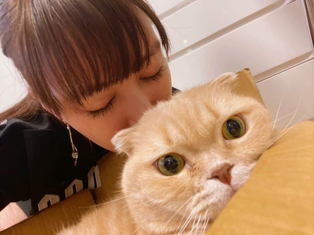 高城れにのインスタグラム