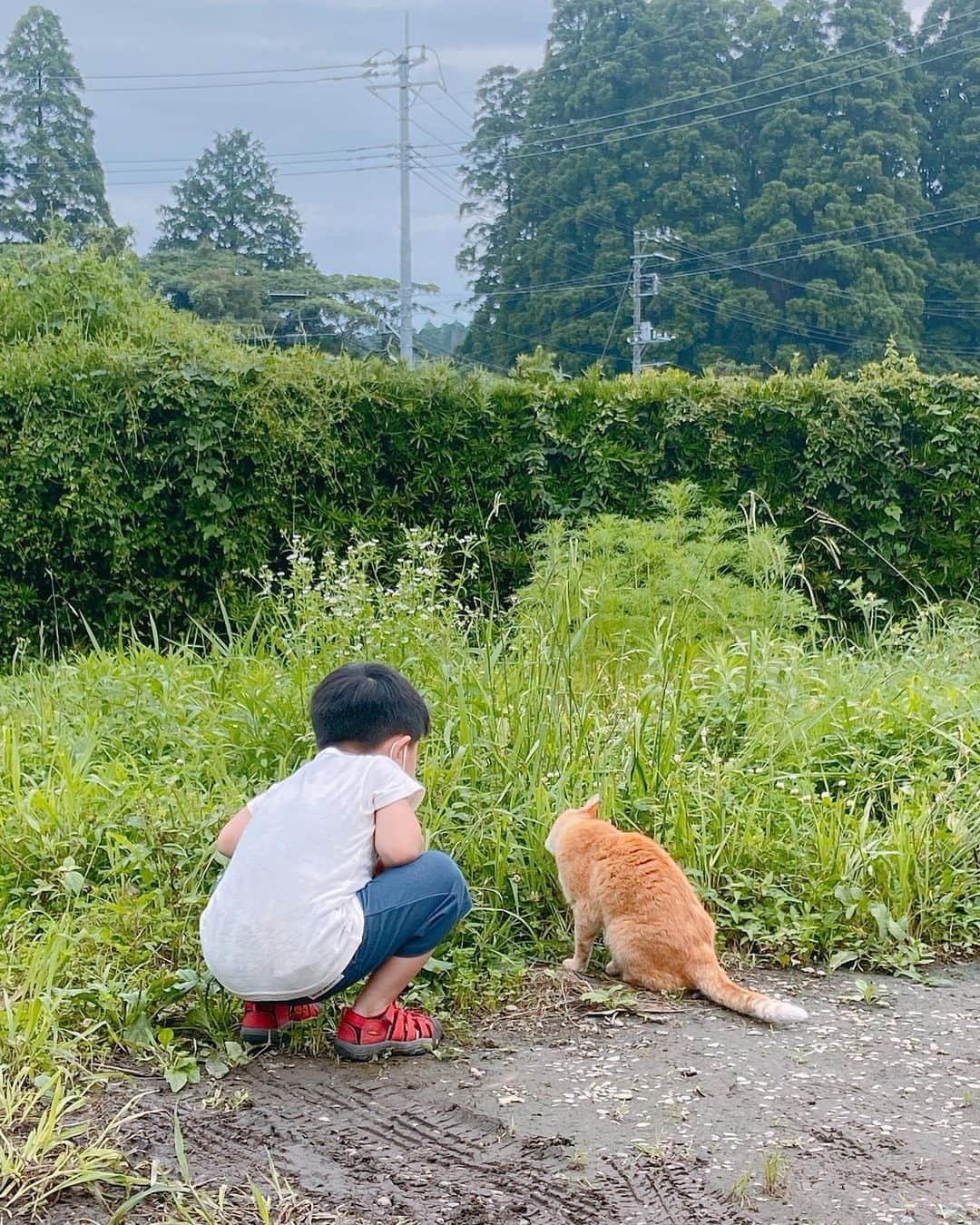 高樹リサのインスタグラム