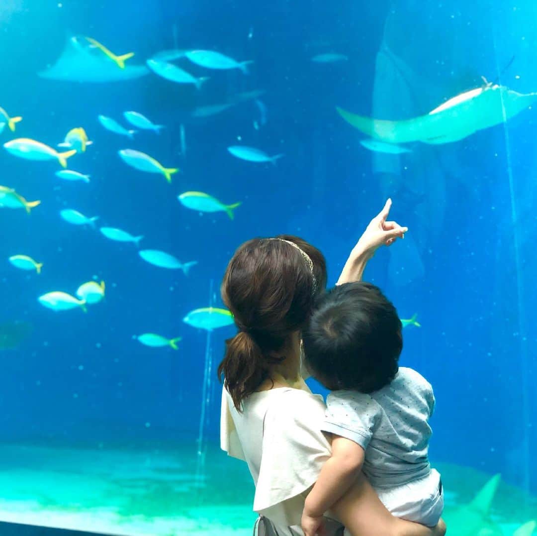 宮崎瑠依さんのインスタグラム写真 - (宮崎瑠依Instagram)「家族で水族館へ🐟🐡🐠 息子は動く魚たちに興味津々！ イルカショーに釘付けでした🐬  こうしてお出かけをすると、色々と成長を感じます。家にいると気づかない発見がお互いたくさんある。  本当はもっといろんなところに連れて行ってあげたいんだけど。。。 なかなか出かけられなくて、もどかしい日々がまだしばらく続きそうですね🦭💦  でも、母としては勉強だと思ってる。置かれた状況でどう楽しむか、家で何が出来るか。 ママさんパパさん、一緒に考えましょう！！w  "体力が有り余っている1歳男子 夏のおうち時間" なにかアドバイスがあったら教えて下さい😂💕✨  とりあえず早くバルコニーに置くプール買いたい。」7月8日 18時03分 - ruimiyazaki