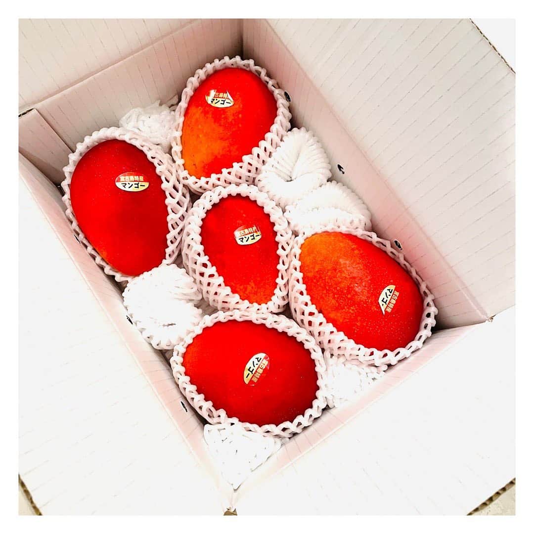 長野美郷さんのインスタグラム写真 - (長野美郷Instagram)「マンゴーが届きました🥭  太陽たくさん浴びたんだろうなっていうオレンジ色！！ 気分だけ、夏です😊  #マンゴー」7月8日 18時41分 - misato_nagano_1127