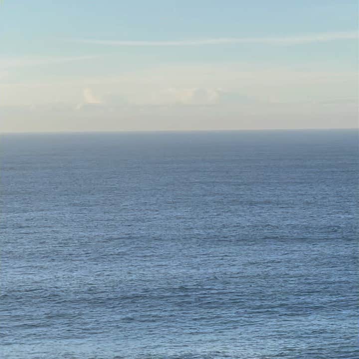 Victoria Leeのインスタグラム：「This morning 💙💙💙 Humpback whales migrating north to their breeding grounds 🐋 incredible」