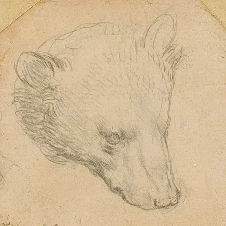 藤原ヒロシさんのインスタグラム写真 - (藤原ヒロシInstagram)「ダビンチの熊。 これは可愛いな、、。」7月8日 19時08分 - fujiwarahiroshi