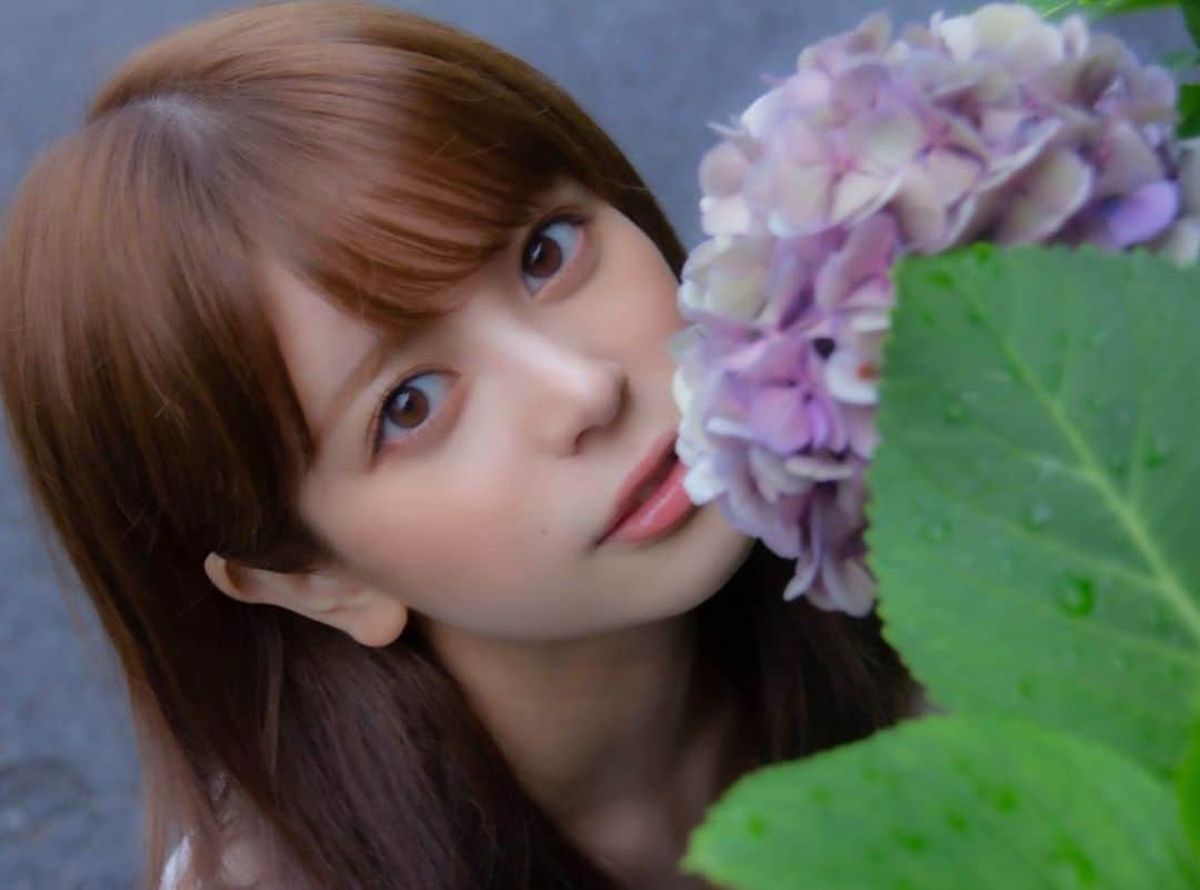 吉崎綾さんのインスタグラム写真 - (吉崎綾Instagram)「紫陽花2」7月8日 14時08分 - yoshizaki_aya