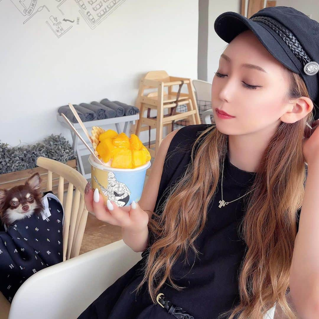 HIMEKAのインスタグラム：「. . アイス食べたい🍦❤️ これ美味しかった😍 . . 後ろにルちゃんさりげなくいる🤣💗笑 顔が険しいのよ🐶 . . #恵比寿楽園テーブル #アイス #ドッグカフェ」