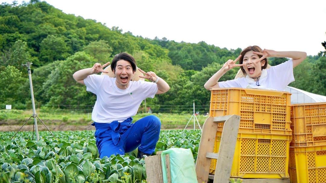 福田太郎のインスタグラム：「#イチモニ農園 👩‍🌾👨‍🌾 採って食べてまた育てる！農業の醍醐味！？ 小さな種から、立派に育った小松菜をついに収穫！ 美味しく頂き、元気が出たので、また種を蒔きました🥬 ⠀ 夏の畑に、ありがとう☀️ #ichimoninoen ⠀ #田口彩夏 #福田太郎 #HTB #アナウンサー Tシャツ、デザインしてみました。いかがですか？ ⠀ #アグリアクション北海道 #パラレルノーカー #JAグループ北海道 ⠀ ナスは木に栄養が行き渡るよう、小さいものを収穫🍆 とうもろこしは１m到達。倍の２mに成長するそう🌽 HTBから外の環境に適応できなかったブロッコリー🌱 生き残った子は、畑に通って、しっかり育てます😂🥦」