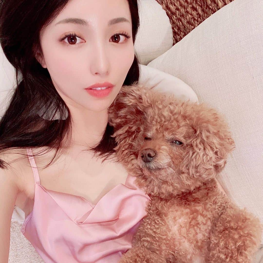 美雪ありすのインスタグラム：「ぱんちゃんが私に抱っこされながらひっくり返ってます🐶笑　　  愛犬達とのまったり時間は幸せです💕  #いぬすたぐらむ  #いぬは家族  #へそ天  #癒し」