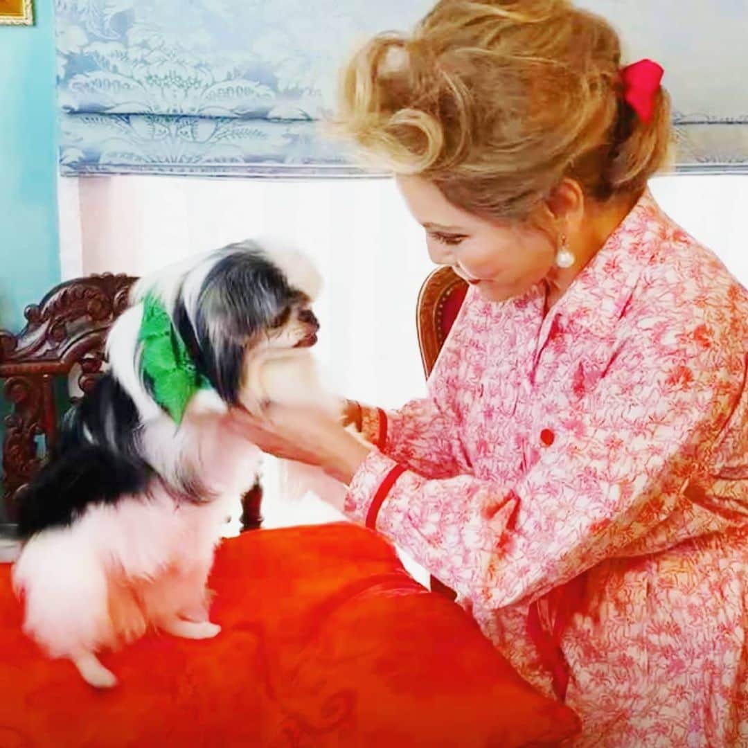 デヴィ・スカルノさんのインスタグラム写真 - (デヴィ・スカルノInstagram)「先日フジテレビ 『坂上どうぶつ王国』にマイファミリーと出演いたしました🐾 「日本に実在するが滅多に出会えない激レア犬番付トップ13」にてエミリーを紹介させていただきました。実はエミリーは日本伝統の愛玩犬で、人間より”お犬様”のほうを 大事にしたといわれる徳川綱吉将軍に江戸城内で飼われていたという記録がある 珍しい犬種の【狆(チン)】なのです✨ さて、次はどの子と出演させていただけるかしら。オホホ🎵」7月9日 12時04分 - dewisukarnoofficial