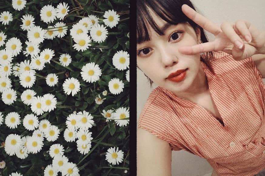 のインスタグラム：「🌼✌️」