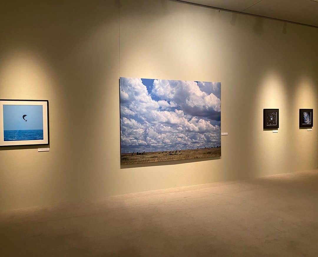 早霧せいなさんのインスタグラム写真 - (早霧せいなInstagram)「念願の高砂淳二さん写真展へ @junjitakasago   広い空間に高砂さんの作品が80以上。なんと贅沢な…✨  #奇跡の瞬間を見て #共鳴して叫びたくなる #高砂淳二 さんありがとう #自然よありがとう #地球よありがとう . #しもだて美術館」7月10日 8時49分 - seinasagiri_official