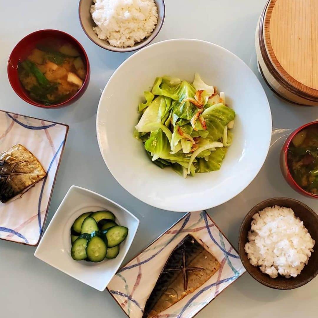 杉本彩のインスタグラム：「* * 昨日のお昼ごはん🍚🥢  無農薬自然栽培のキャベツと桜エビをニンニクとお塩で炒めたもの。  無農薬自然栽培きゅうりの自家製ぬか漬け🥒 ようやくぬか床がいい感じになって美味しく漬かりはじめました✨  塩鯖と、無農薬自然栽培ズッキーニと九条ねぎと椎茸の味噌汁🥣  #無農薬自然栽培お野菜  #無農薬自然栽培米 #おうちごはん」