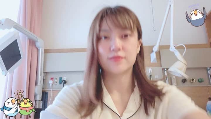 高瀬みゆきのインスタグラム：「【高瀬からのお知らせ】 本日のビギニング大会、明日のACT大阪大会に顔を出せなくなってしまいました。  楽しみにしてくださってた皆様本当にごめんなさい！  でも！その代わり考えていることが！！ 文字も動画の長さも足りないのでYouTubeのお知らせ動画をご覧ください🙇‍♀️ https://m.youtube.com/watch?v=Z_OWIQDcU9w&feature=youtu.be  【高瀬欠場のお知らせ】 https://www.actwresgirlz.com/posts/19159392」