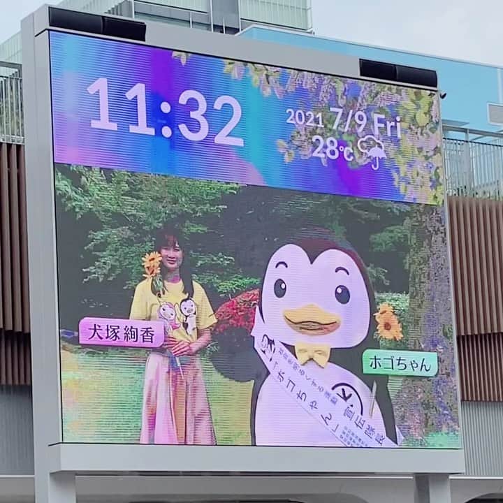 犬塚志乃のインスタグラム