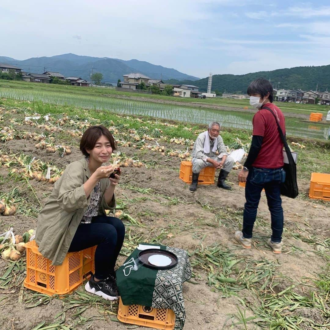 稲富菜穂さんのインスタグラム写真 - (稲富菜穂Instagram)「12時からKBS京都📺夢追人の放送です！  この放送で番組100回記念なんだそう👏㊗️  すごーーーーーーい！！！！ そんな記念の回に出演できて感謝です🙇‍♂️  農業で頑張っていらっしゃる皆様の夢を追いかける番組なのですが、とても素敵で毎回お話聞くのが楽しみですしワクワクしてます☺️🎶  今回の放送では京都編で玉葱🧅 滋賀編では草津メロン🍈を育てている夢追人さんにお話を伺ってます🎤  是非ご覧ください！  写真は話が聞き終えても玉ねぎを食べ続ける私と、 おいお前と冷めた視線を送る面白DのT野さん👨（演出です多分）  #KBS京都 #JA京都 #夢追人 #玉葱 #草津メロン #是非見てね」7月10日 11時24分 - inatomi74