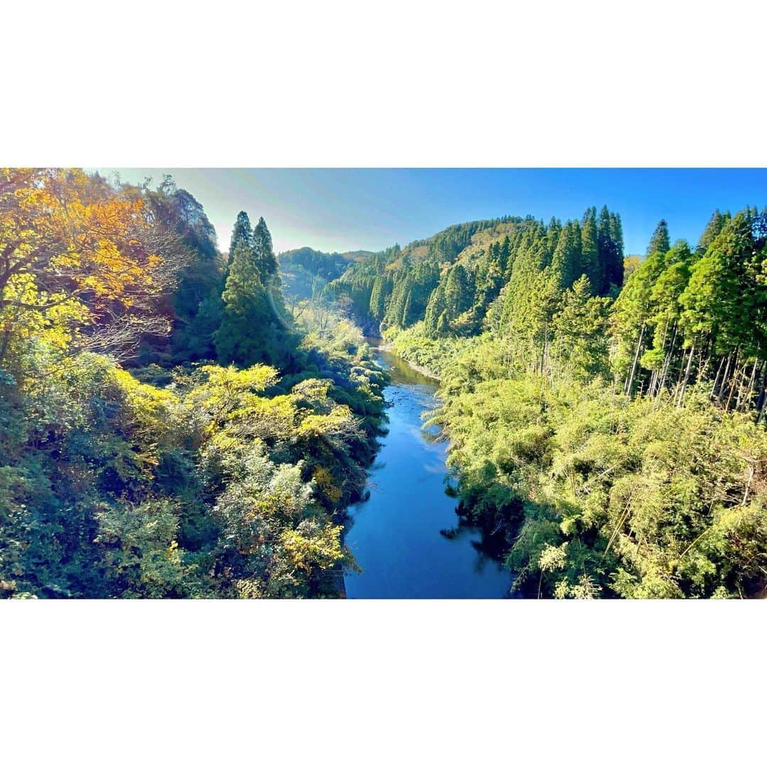 Takama Shibataのインスタグラム：「#小湊鐵道 去年の写真です🙆🏻‍♂️  気持ちよかったなぁ🌲🌳🌿🍃 #世界の車窓から な気分でした😂  #日本 #japan #千葉 #市原市 #緑 #空 #sky #綺麗 #景色 #scenery #素敵 #beautiful #自然 #nature #過去pic #iphoneで撮影 #vsco」