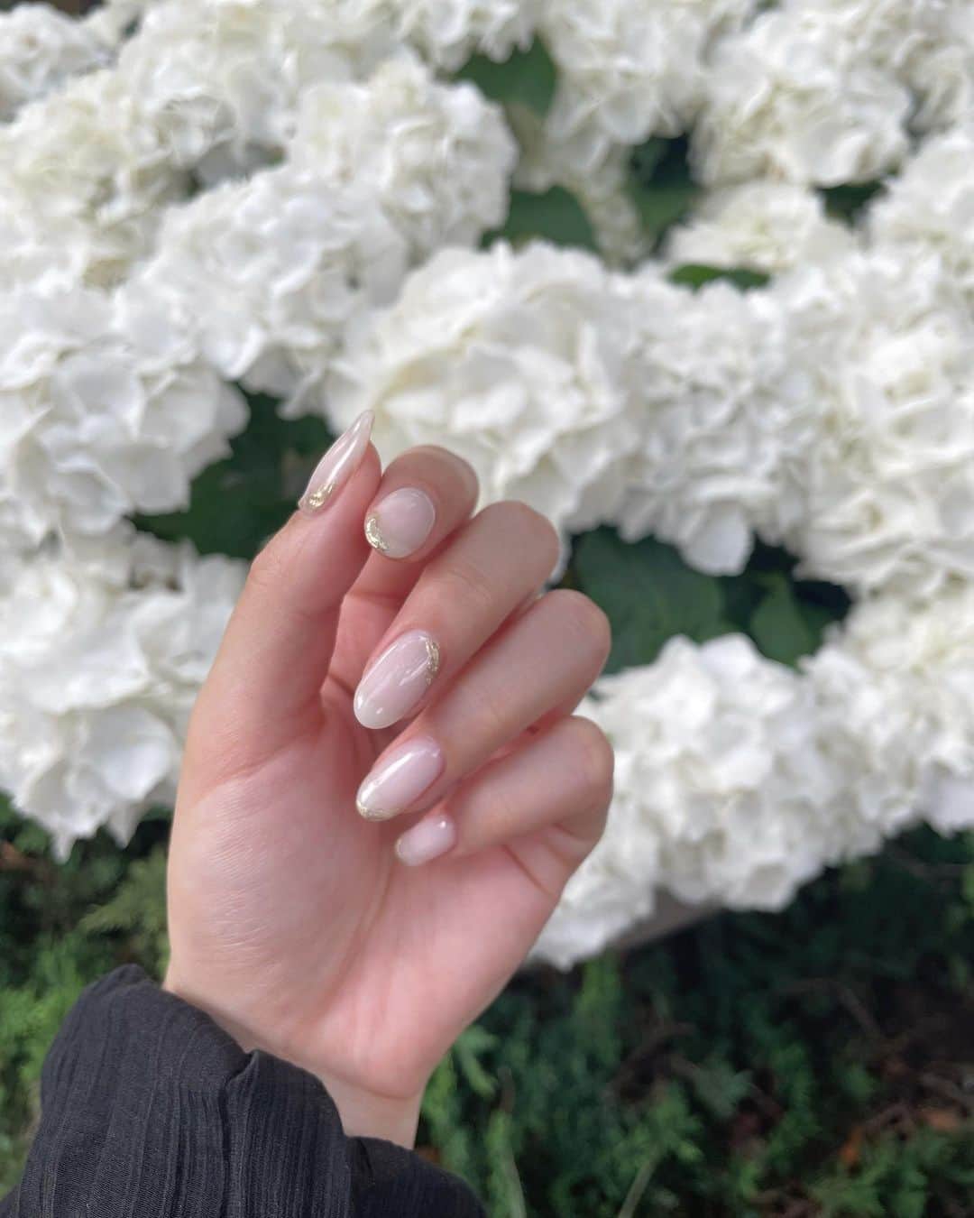 大和田南那さんのインスタグラム写真 - (大和田南那Instagram)「nail..❤︎ 今回は少し長めにして 絶妙なやわらかいホワイトとポイントにゴールドで 女性らしいデザインにしてもらいました🕊🌙  いつも有難うございます☺️!  お散歩してて見つけた白い紫陽花がすごく綺麗だった~🌿」7月10日 18時47分 - nanaowada_official