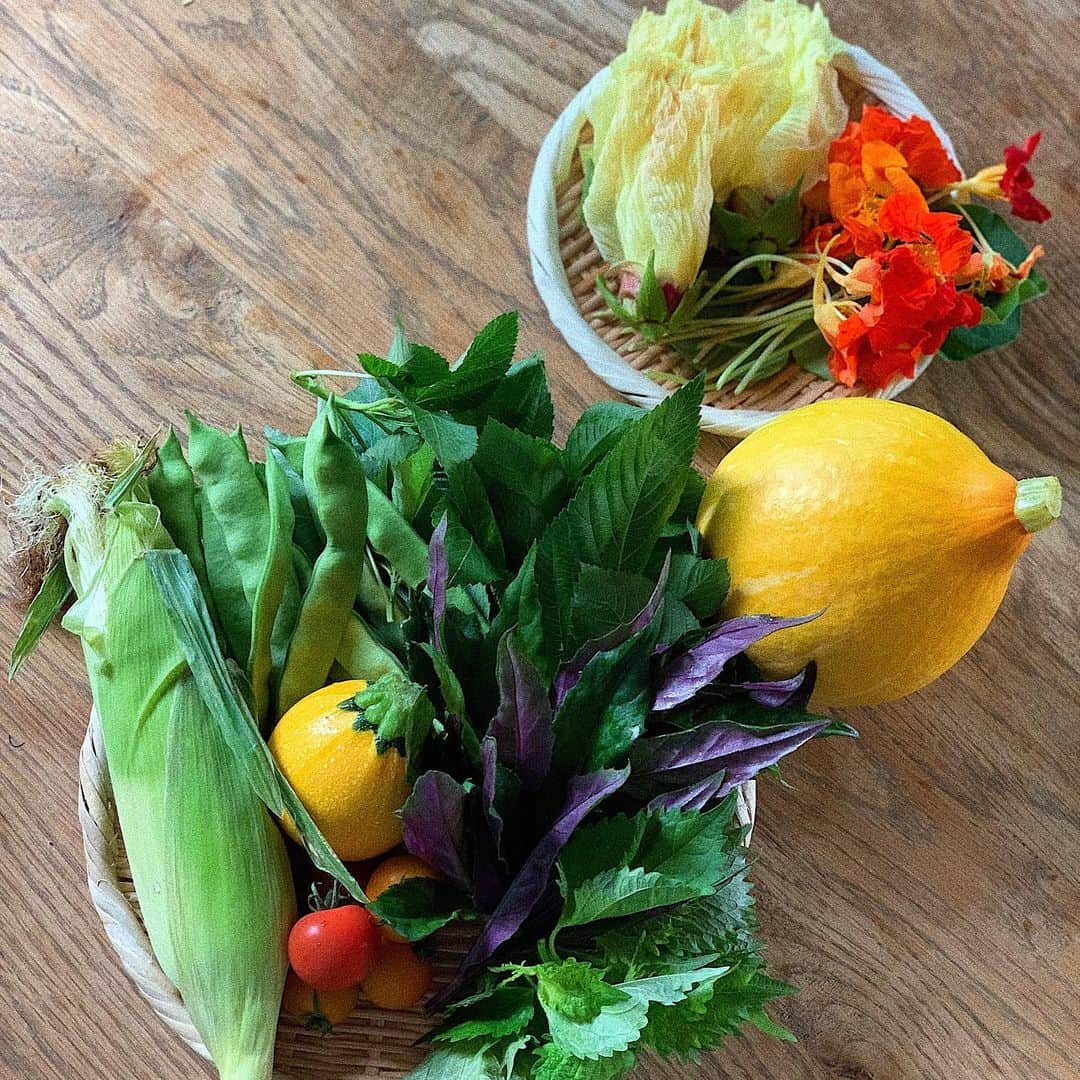 宇藤えみのインスタグラム：「楽しみにしていた夏野菜。 見るだけで元気でるわぁ♪ 今週の天気に振りまわされ身体がどっと疲れていたので、夏野菜と今日の真夏みたいなお天気と朝から夏の虫たちの音で復活✌︎  家族と夏を感じながら食卓を囲んでいました。 それにしても暑かったw☀️ と思ったら今すごい雷に大雨… これ以上強くなりませんように。 夏野菜 @nomurasayaka__nomura_farm__  #暮らし#夏野菜」