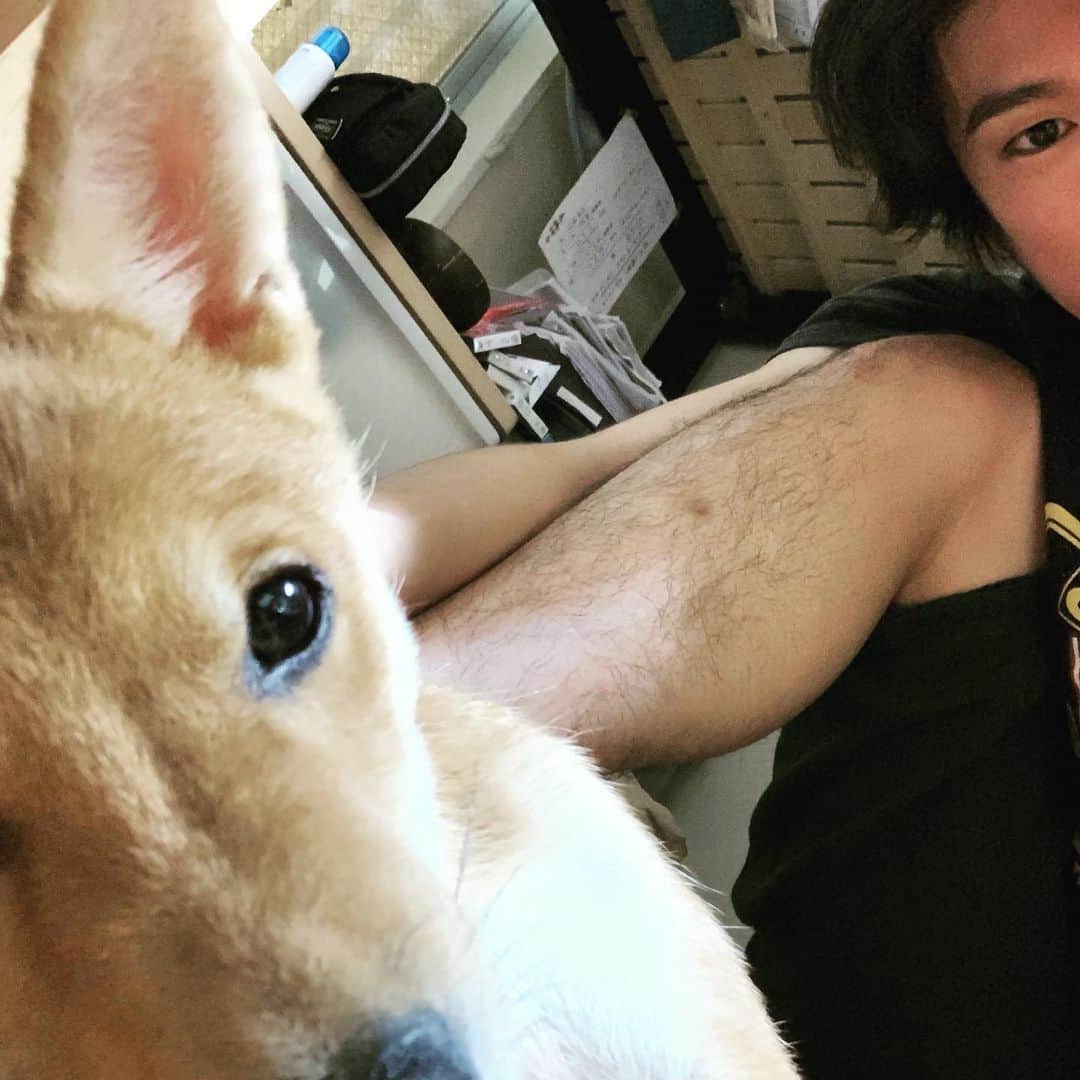 足立英昭のインスタグラム：「あ、寝た。  おやまる💤  #まる #寝落ち #おやすみ」